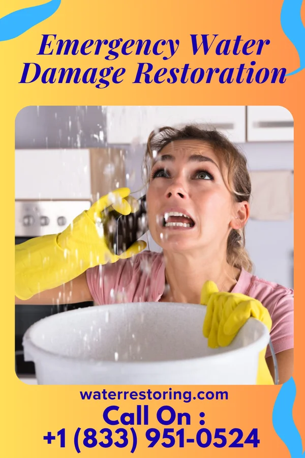 Emergency Water Damage Restoration in Chevy Chase View, MD