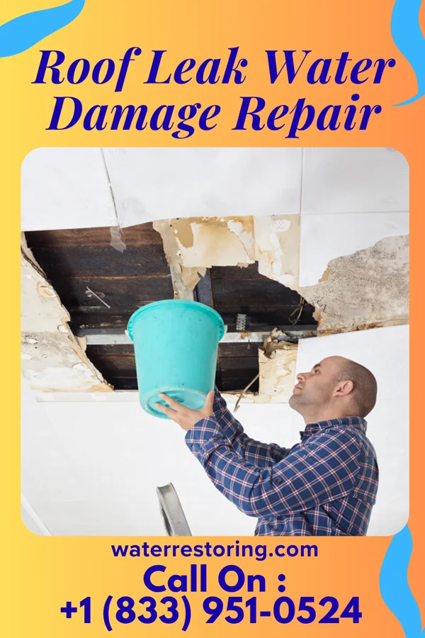 Roof Leak Water Damage Repair in Chevy Chase View, MD